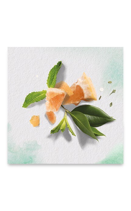 HERBAL ESSENCES-Шампунь для волос Белый грейпфрут и мята Herbal Essences 400мл-8001841288130
