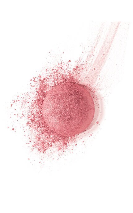 BOURJOIS-Румяна для лица Bourjois 95 Rose De Jaspe 2,5 г-3614225613272