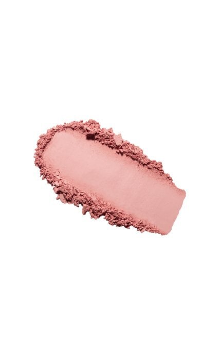 LN PROFESSIONAL-Пудровые румяна LN Pro Powder Blush №102 4 г-810149046063