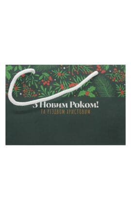 ПАКЕТ-Пакет упаковочный Watsons Рождество 21х14х8 см-9210000074302-
