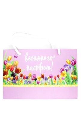 ПАКЕТ-Упаковочный пакет Watsons 21х14х8 см-9210000074586-