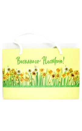 ПАКЕТ-Пакет пакувальний Watsons 21х14х8 см-9210000074593-