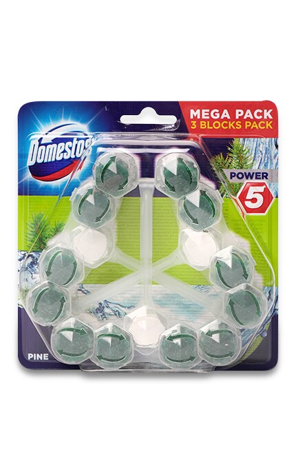 DOMESTOS-Блок для чищення унітазу Domestos Power 5 Свіжість хвої-8710908736056