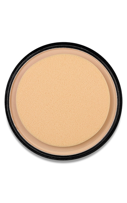 LN PROFESSIONAL-Пудра для обличчя LN Professional Matt Effect матуюча компактна тон 101 12 г-810134217607