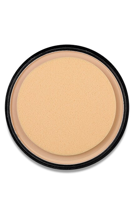 Пудра LN Professional Matt Effect матирующая компактная, тон 101, 12 г