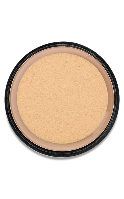 Пудра LN Professional Matt Effect матирующая компактная, тон 102, 12 г