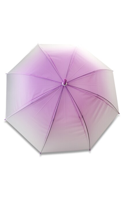 Зонт тростник