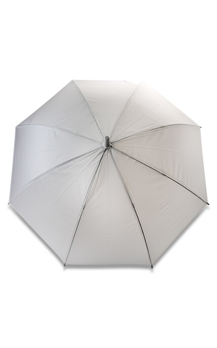 Зонт тростник