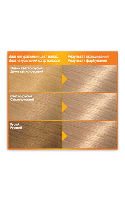 COLOR NATURALS-Краска для волос Garnier Color Naturals 9.1 Солнечный пляж-3600540178176