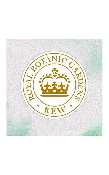 HERBAL ESSENCES-Шампунь Herbal Essences 