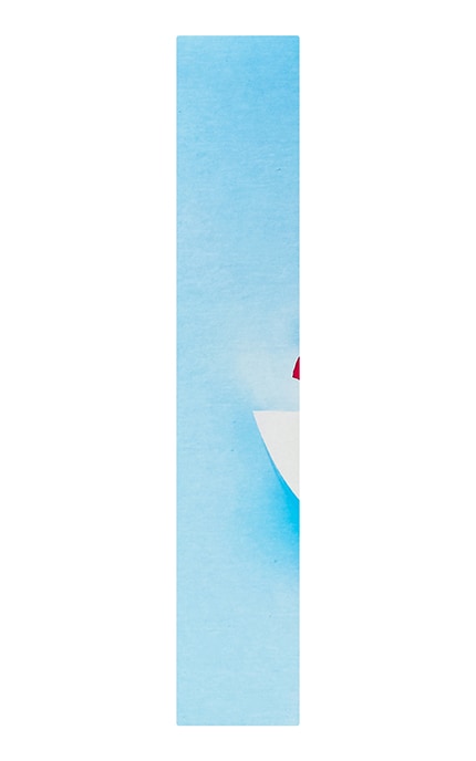 DOMOL-Серветка-пастка для кольору та бруду Domol 24 шт-4305615273938