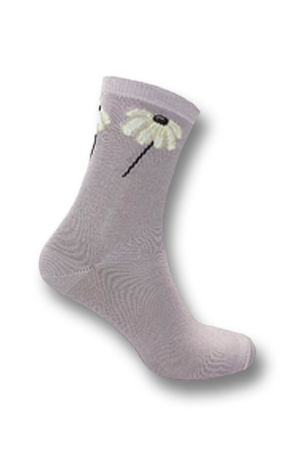 WOMEN'S CODE-Шкарпетки жіночі класичні Women's Code 23-25 -4820163324333