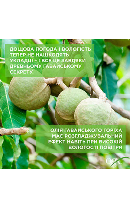 OGX-Кондиціонер для волосся Ogx Kukui Oil 385 мл-22796974228