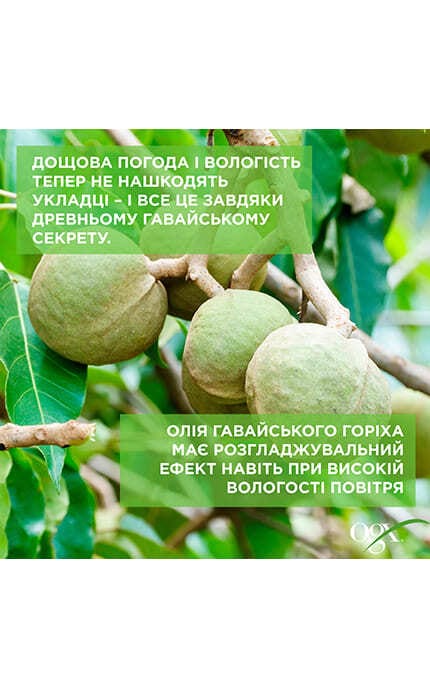 OGX-Шампунь для волос Ogx Kukui Oil 385 мл-22796974211