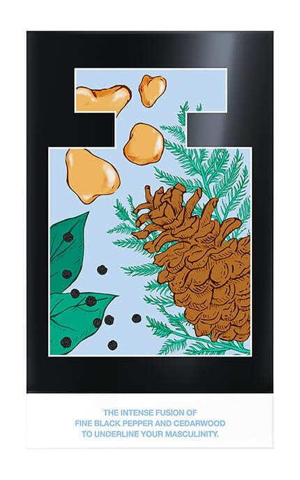 --Туалетная вода Mexx Black Man для мужчин 50 мл-3616305161239