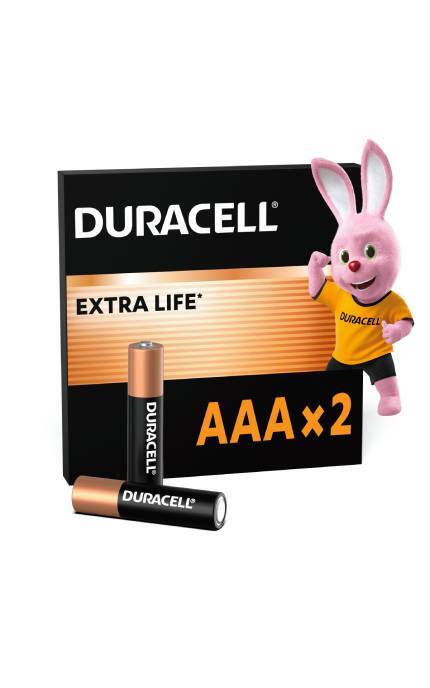 DURACELL-Батарейки Duracell Basic AAA LR03 Alkaline 2 шт-5000394077133