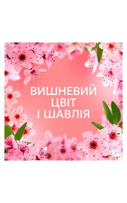 LENOR-Кондиціонер для білизни Lenor Cherry Bloss 1.239 л-8700216723602